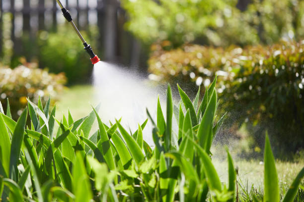 24/7 Emergency Mosquito Control experts in McCall, ID