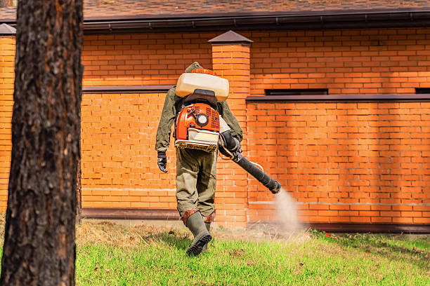 Top rated local Mosquito Control specialists in McCall, ID